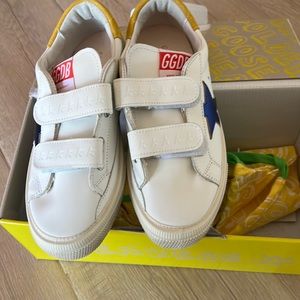 Golden goose may school